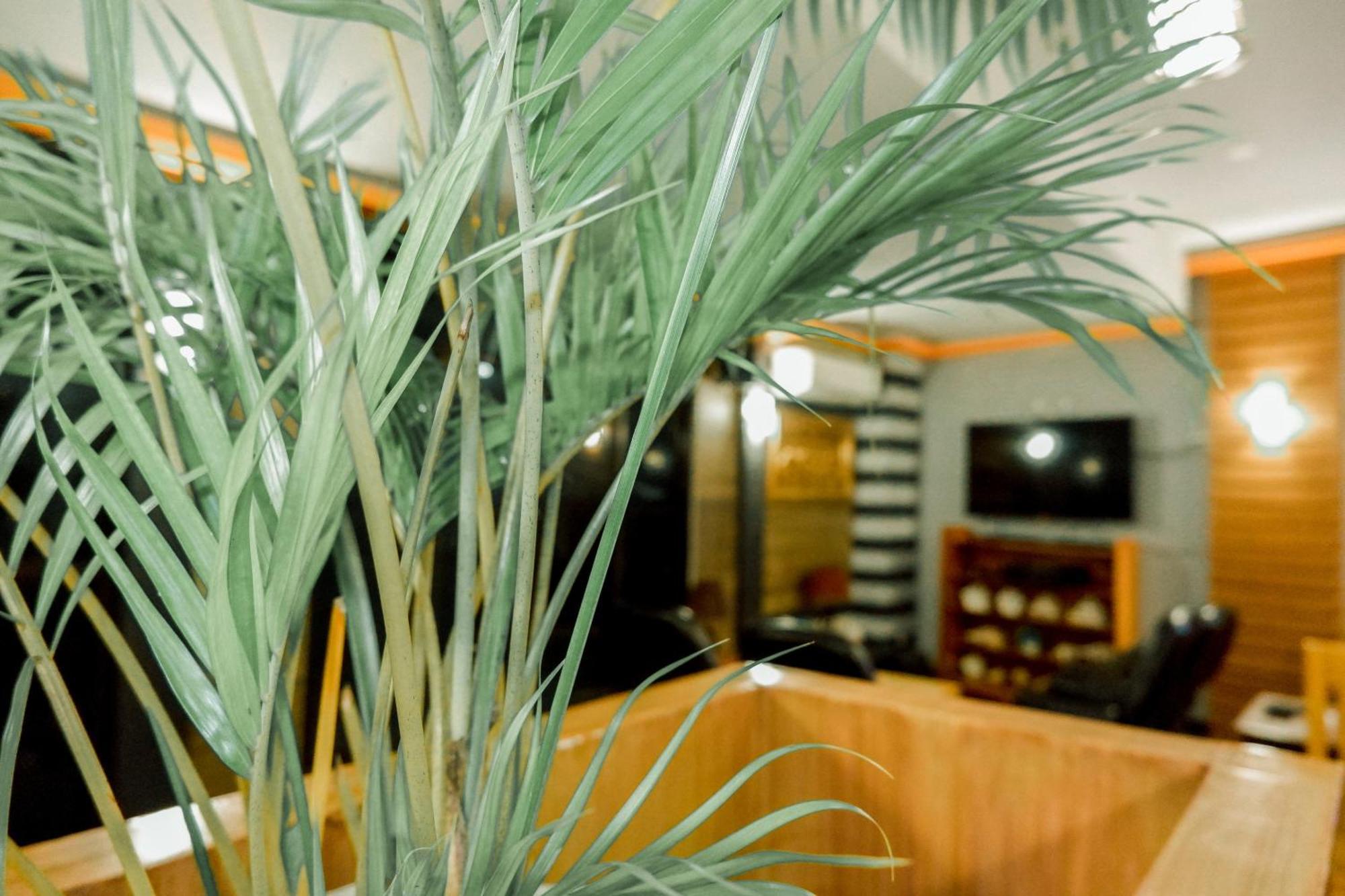Casi Verde Guest House パングラオ エクステリア 写真