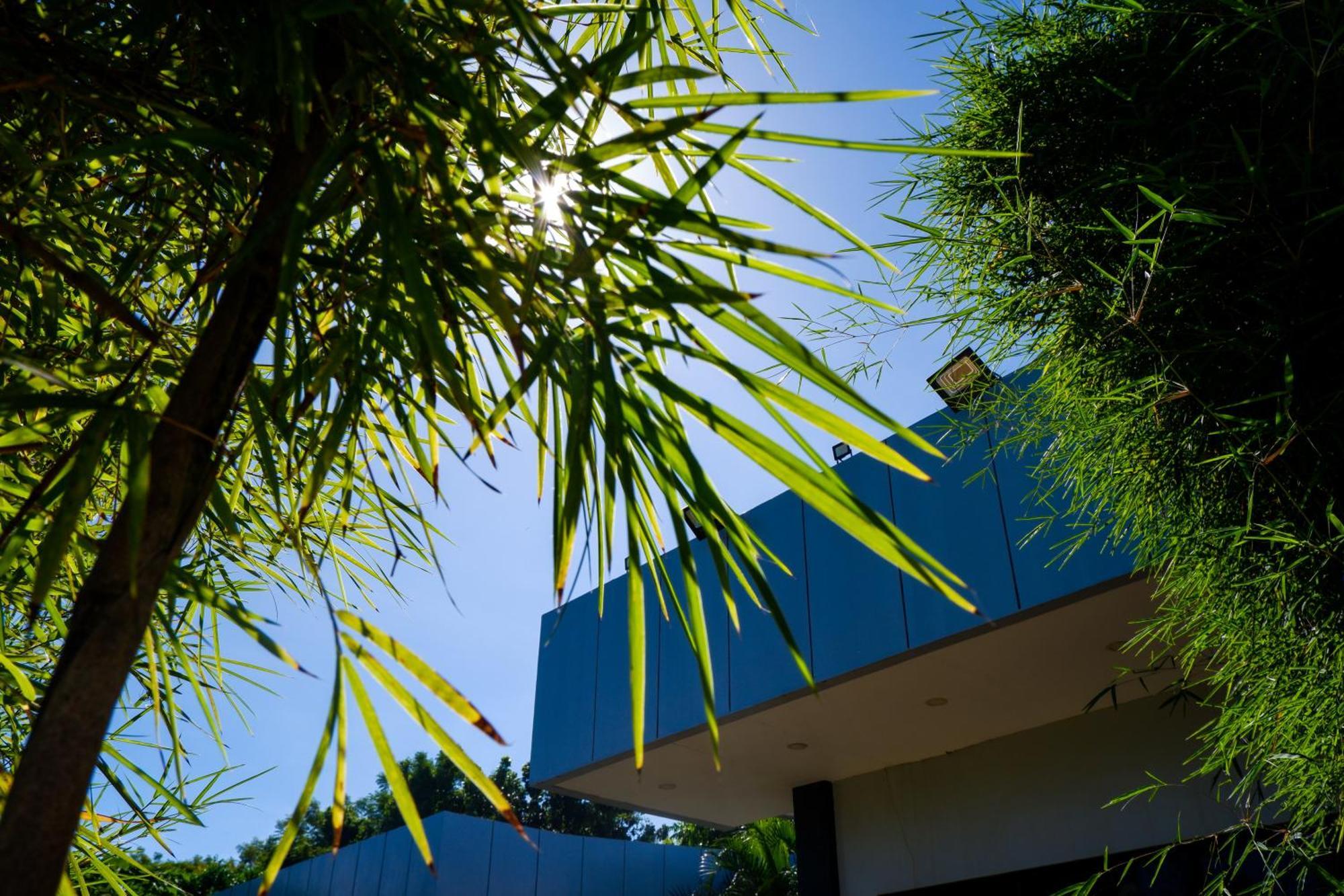 Casi Verde Guest House パングラオ エクステリア 写真