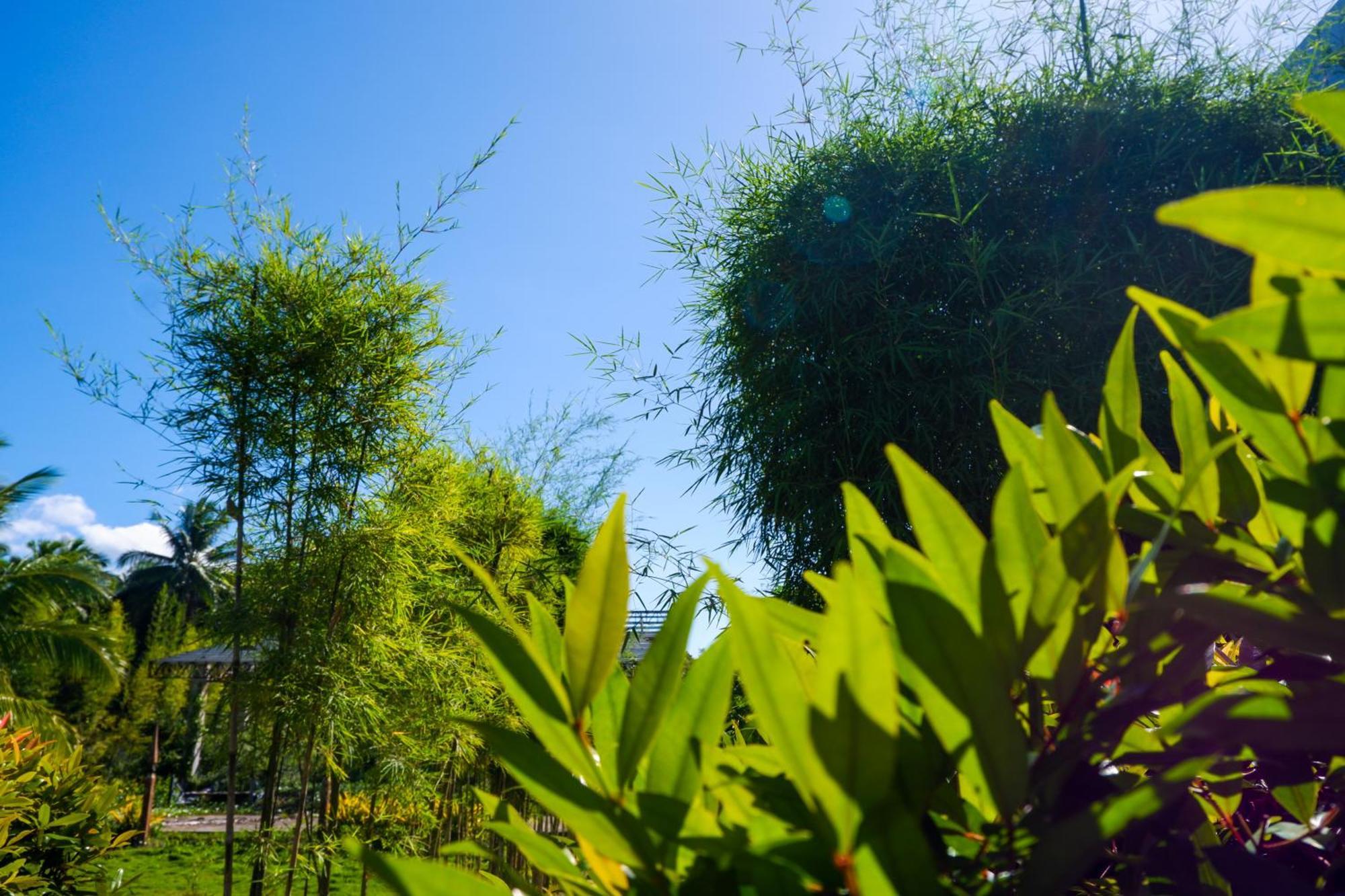 Casi Verde Guest House パングラオ エクステリア 写真